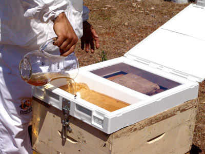 Intelligente Deckel, Bienenstockabdeckung